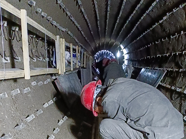 ຣD(zhun)GʩF(xin)(chng)